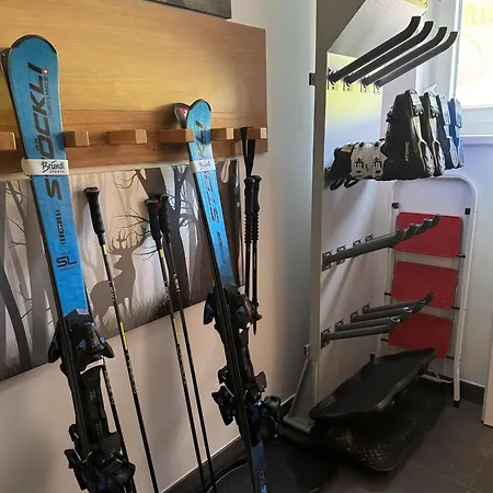 Prázdninový dům Haus Schladming